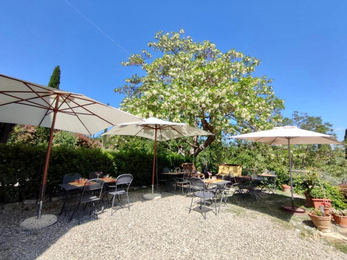 Agriturismo Biofattoria L'Upupa Montalcino Extérieur photo