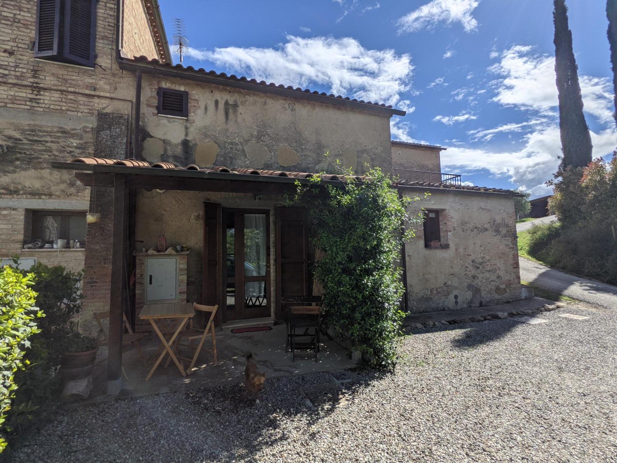 Agriturismo Biofattoria L'Upupa Montalcino Extérieur photo