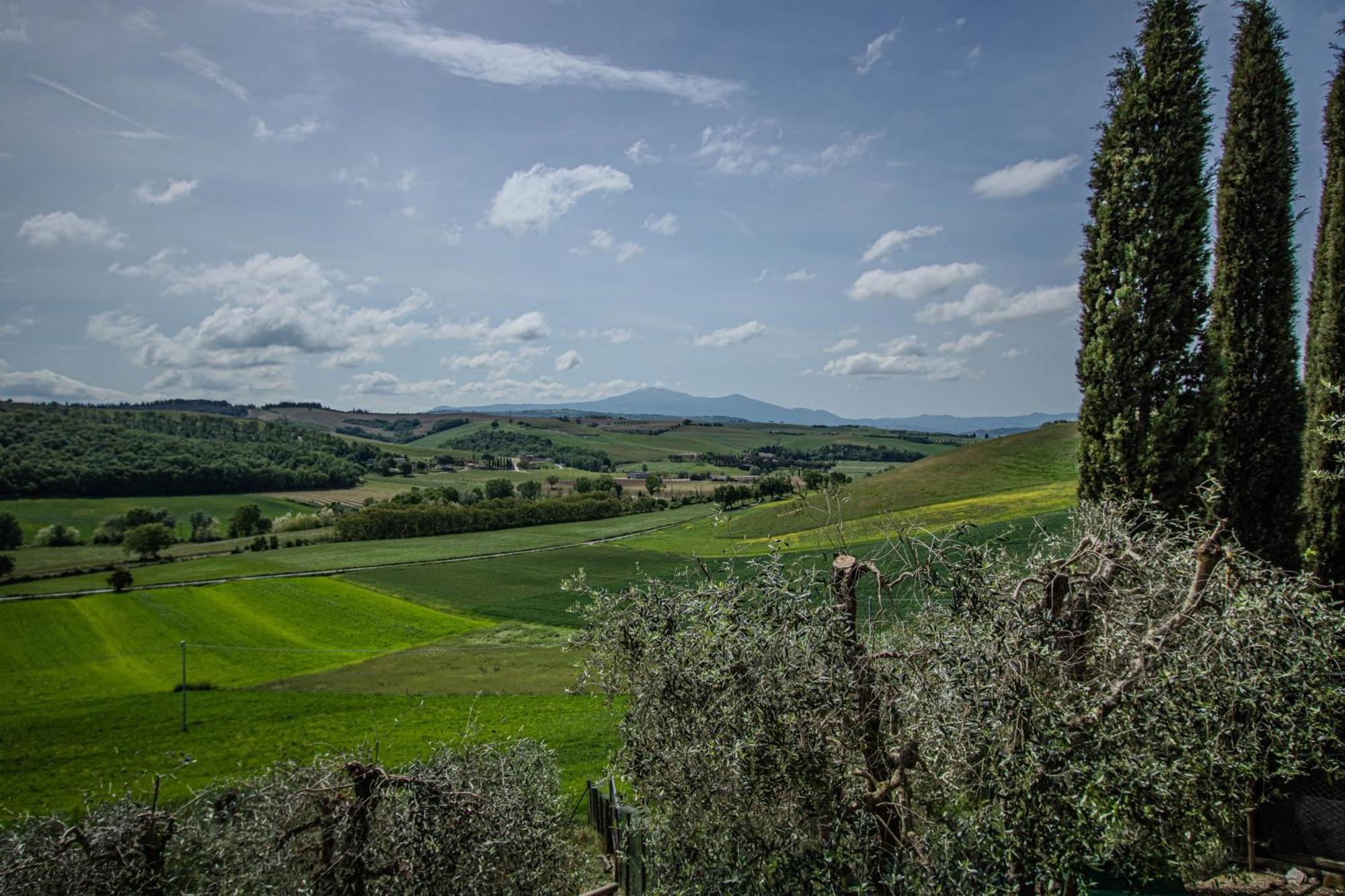 Agriturismo Biofattoria L'Upupa Montalcino Extérieur photo