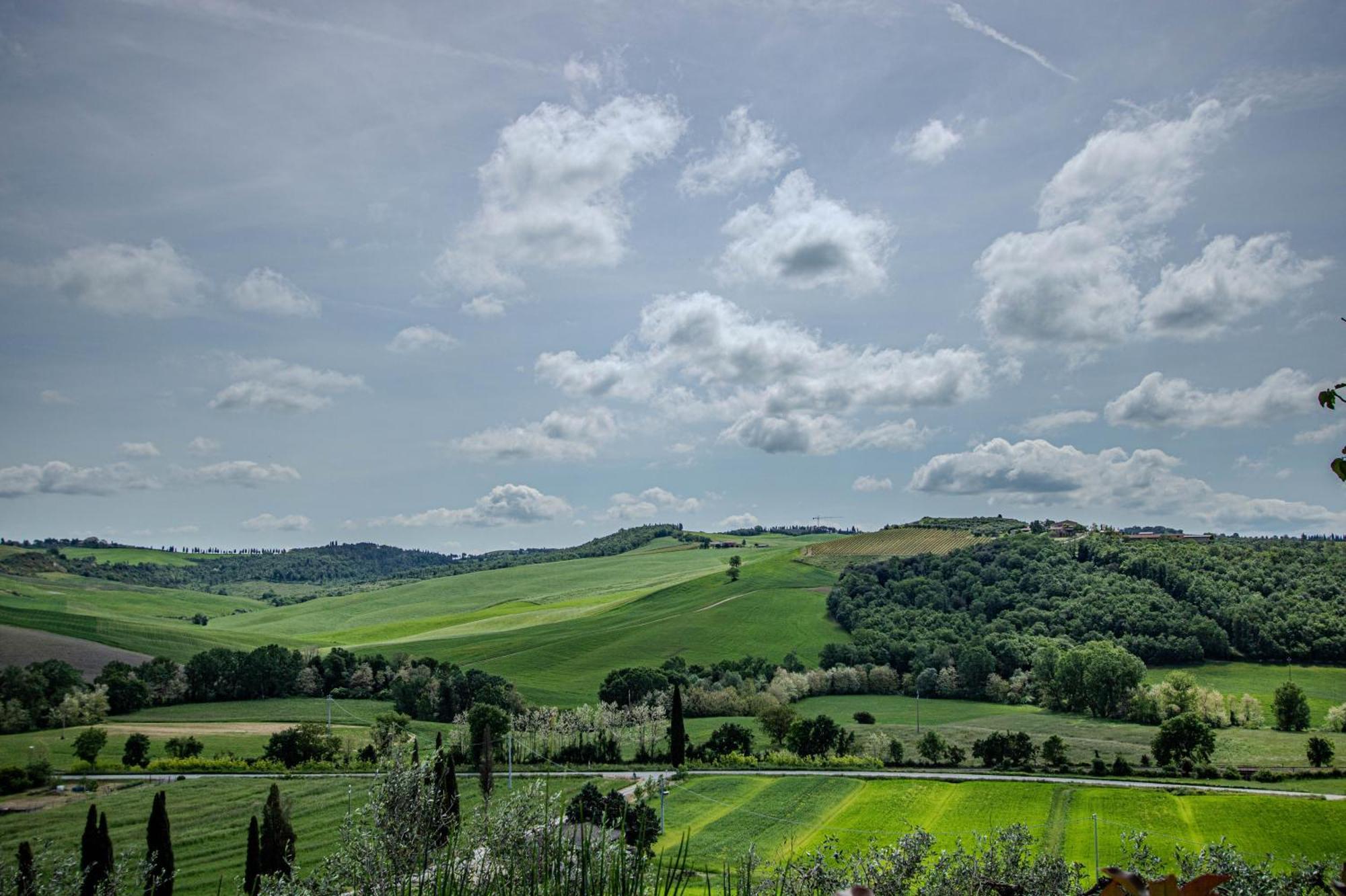 Agriturismo Biofattoria L'Upupa Montalcino Extérieur photo