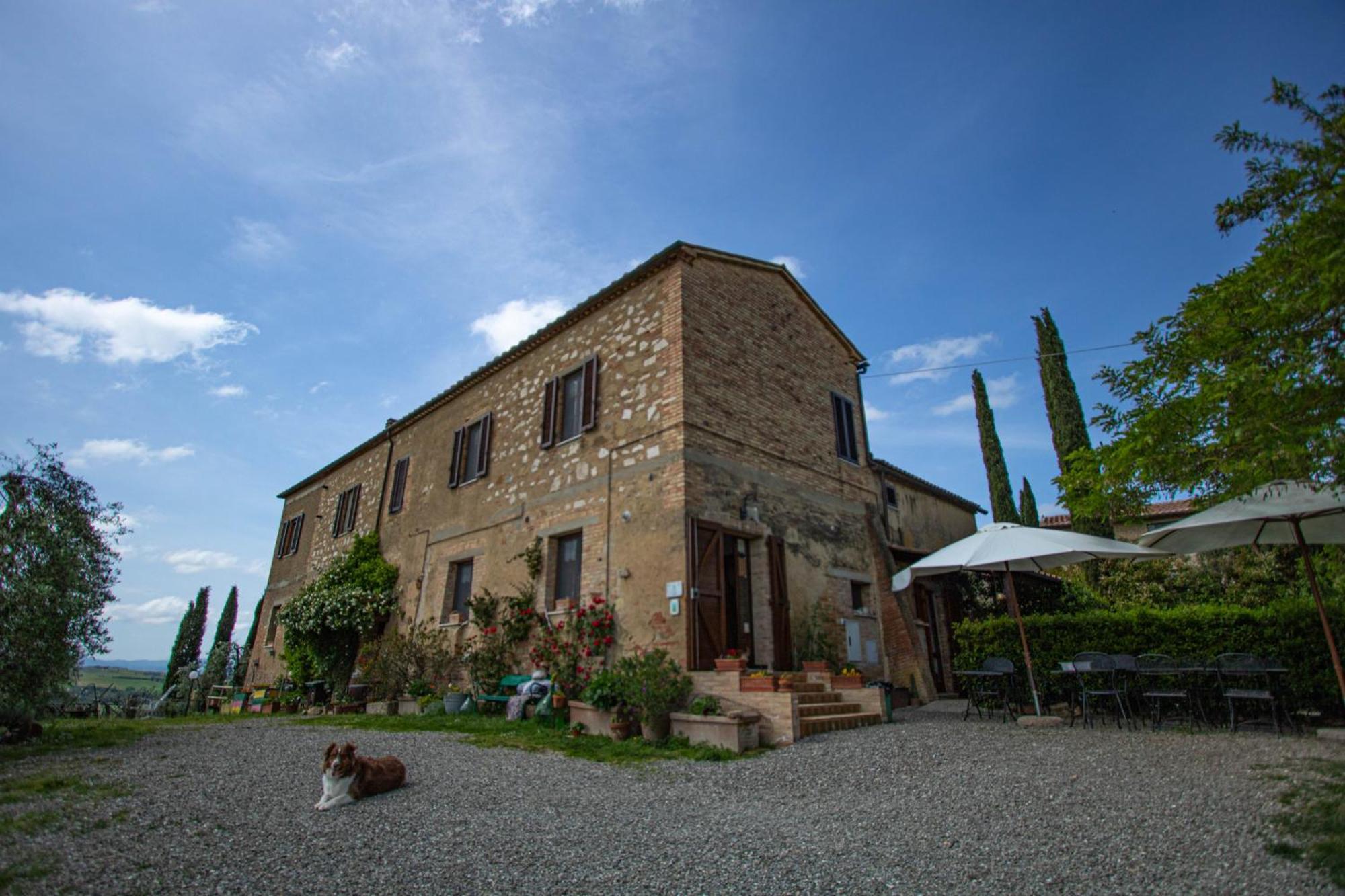 Agriturismo Biofattoria L'Upupa Montalcino Extérieur photo